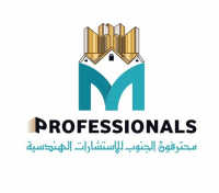 PROFESSIONALS CONSULTANCY