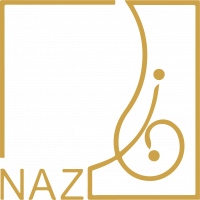 NAZ ENGINEERING CONSULTATION